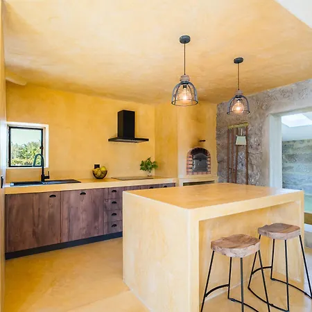 Lemon With Private Indoor Heated Pool - Oporto Lemon Farm, Near Porto