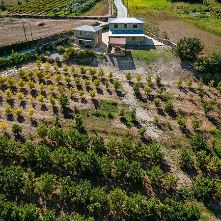 Lemon With Private Indoor Heated Pool - Oporto Lemon Farm, Near Porto * Valpedre
