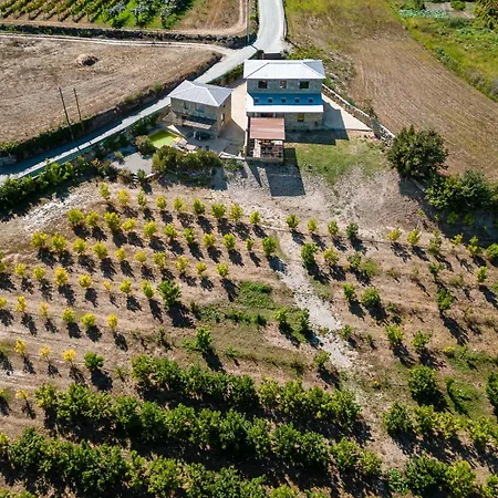 Willa Lemon With Private Indoor Heated Pool - Oporto Lemon Farm, Near Porto