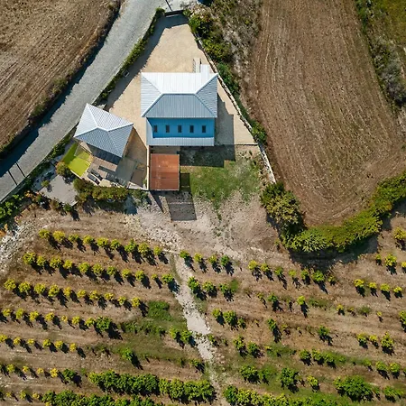 Lemon With Private Indoor Heated Pool - Oporto Lemon Farm, Near Porto Willa *