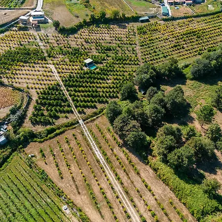 ヴィラ Lemon With Private Indoor Heated Pool - Oporto Lemon Farm, Near Porto Valpedre