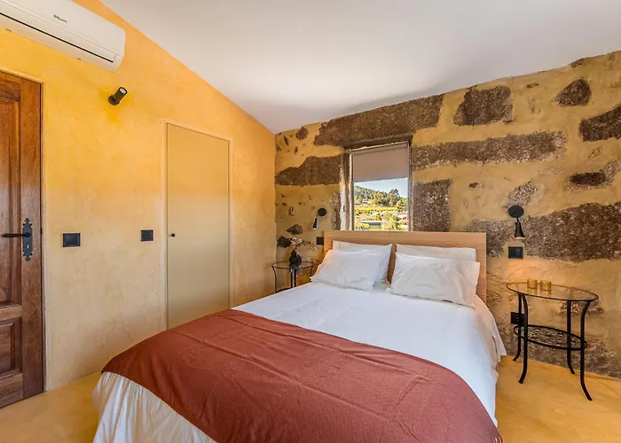 Lemon With Private Indoor Heated Pool - Oporto Lemon Farm, Near Porto 别墅 *