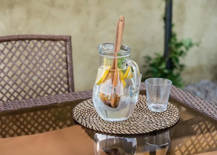 Lemon With Private Indoor Heated Pool - Oporto Lemon Farm, Near Porto *