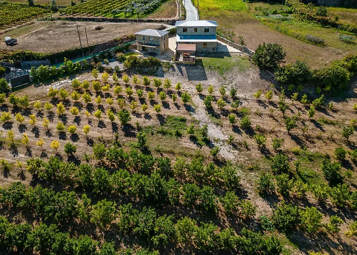 Lemon With Private Indoor Heated Pool - Oporto Lemon Farm, Near Porto * Valpedre