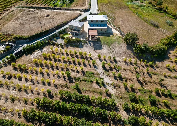 别墅 Lemon With Private Indoor Heated Pool - Oporto Lemon Farm, Near Porto