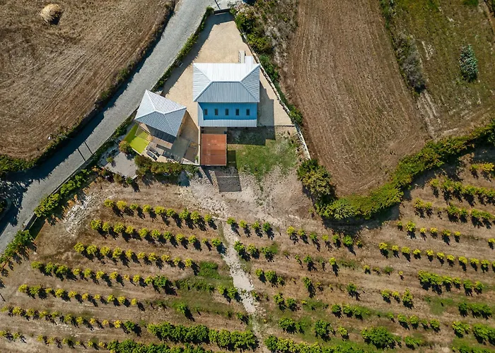 Lemon With Private Indoor Heated Pool - Oporto Lemon Farm, Near Porto 别墅 *