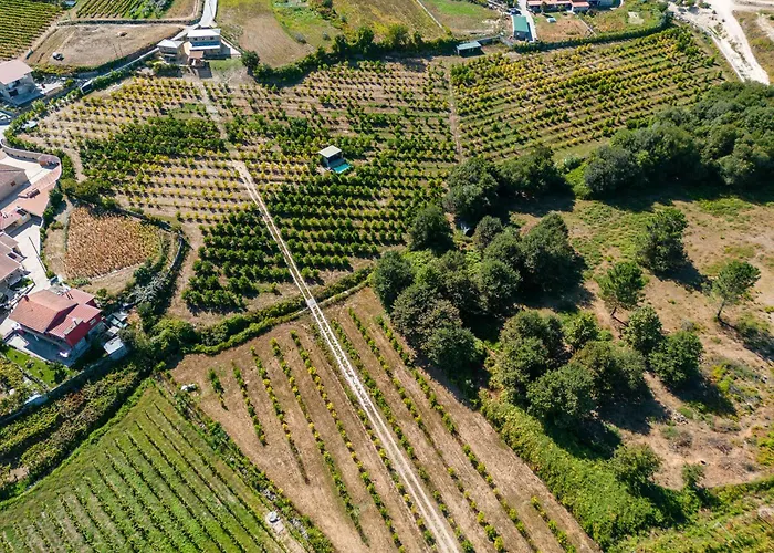 Βίλα Lemon With Private Indoor Heated Pool - Oporto Lemon Farm, Near Porto Valpedre